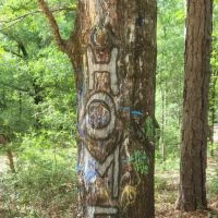 Rainbow Cove Camp Site ico