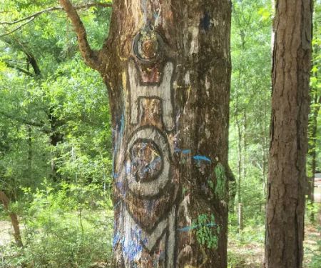 Rainbow Cove Camp Site