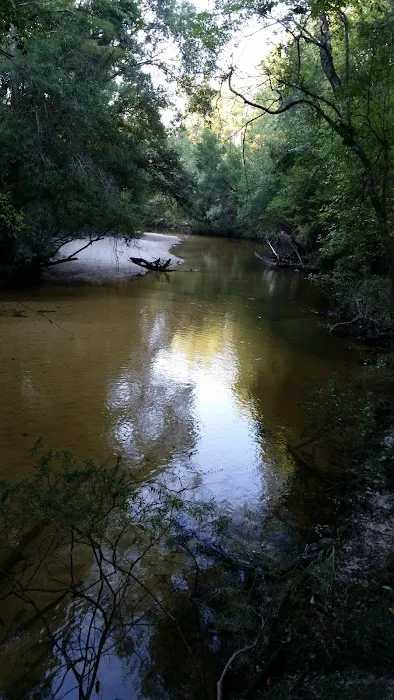 Camp Huck-a-Berry Picture 7