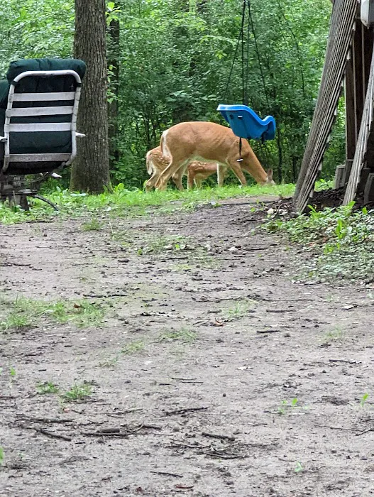 A J Acres Campground Picture 8