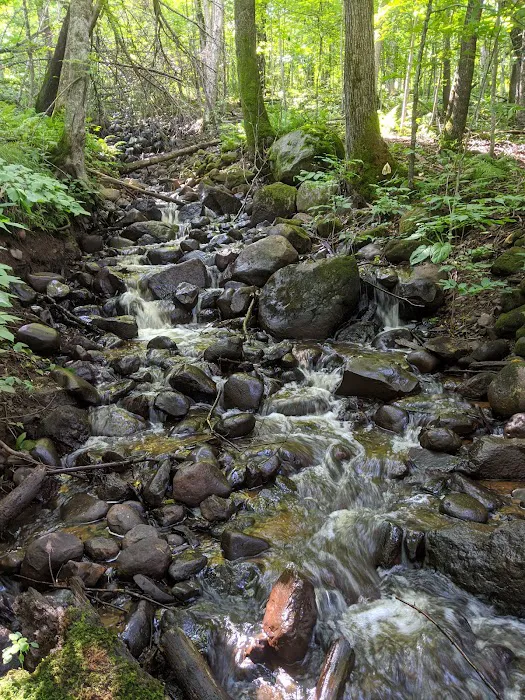 St. Croix Campground Picture 10