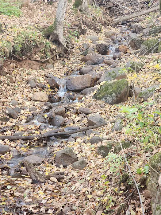 St. Croix Campground Picture 8