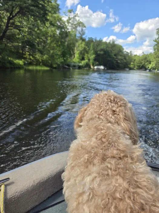 DuFour's Campground Picture 3