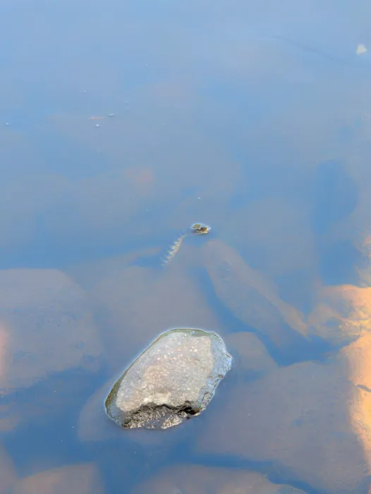 Sioux Portage Group Campground Picture 1