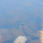 Sioux Portage Group Campground