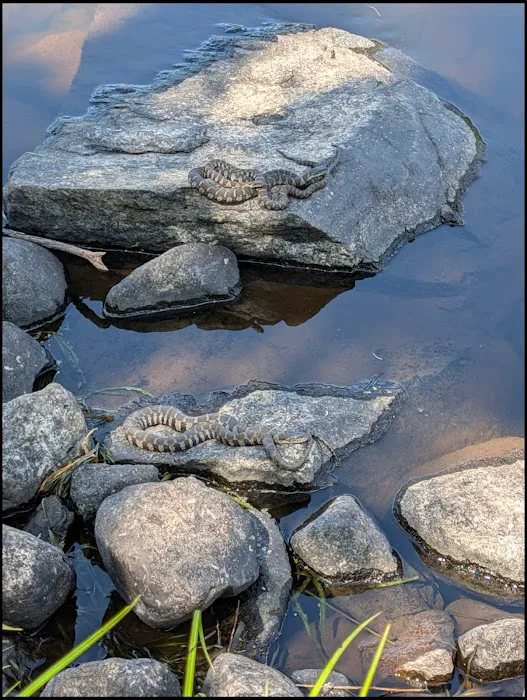 Sioux Portage Group Campground Picture 2
