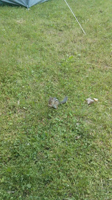 Eagle's Landing Campground Picture 6