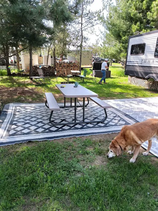 Pardun's Jack Pine Campground Picture 9