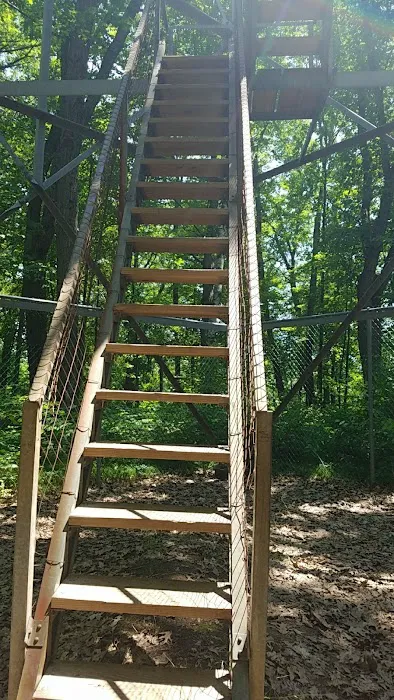 Paint Rock Spring Campground Picture 6