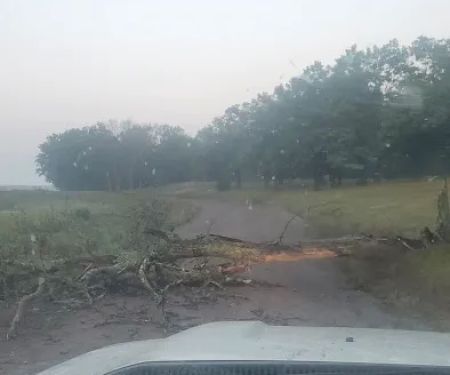 Crex Meadows Campground