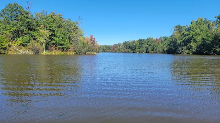 Sandrock Cliffs Campground Picture 4