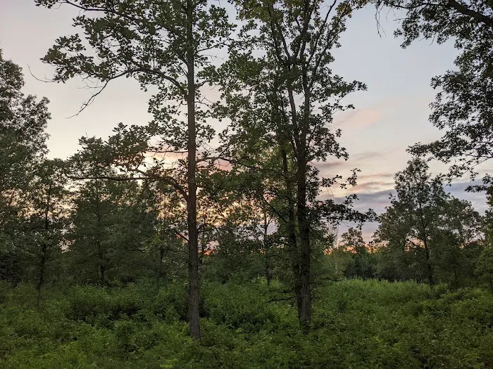 Sandrock Cliffs Campground Picture 3