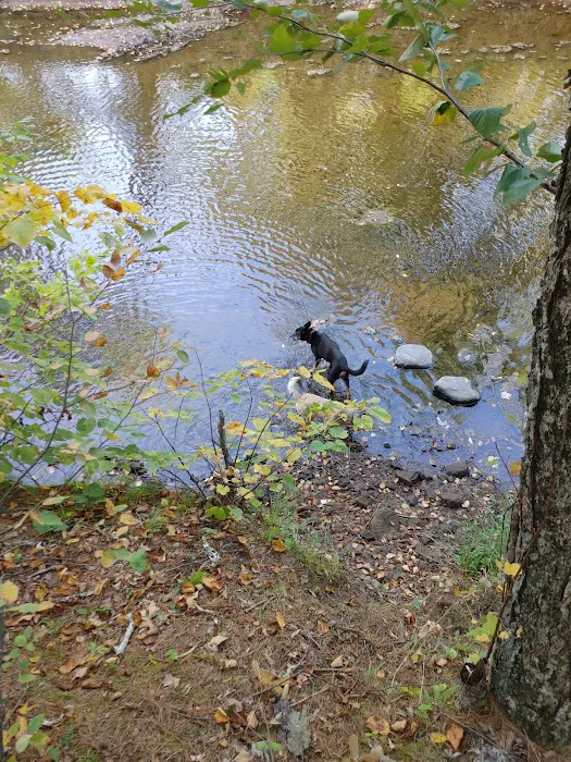 Sandrock Cliffs Campground Picture 10