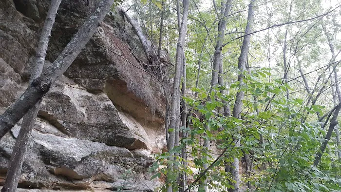 Sandrock Cliffs Campground Picture 15