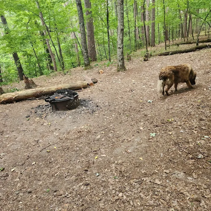 Sandrock Cliffs Campground Picture 13