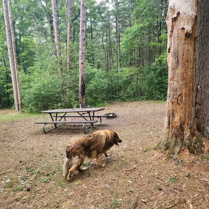 Sandrock Cliffs Campground Picture 12