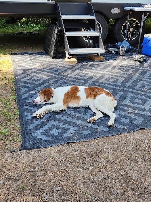 Snake River Campground Picture 4