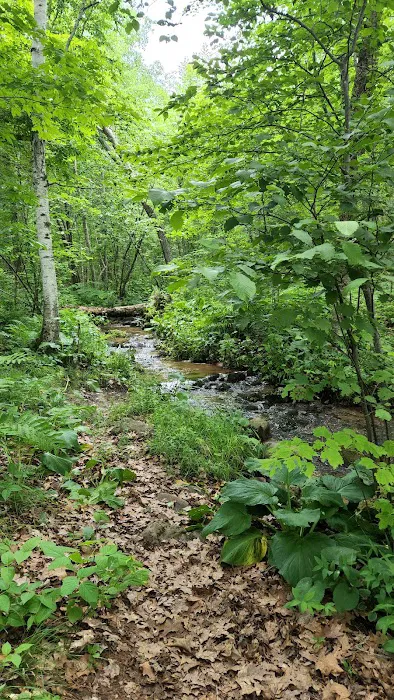 Fox Landing Picture 5