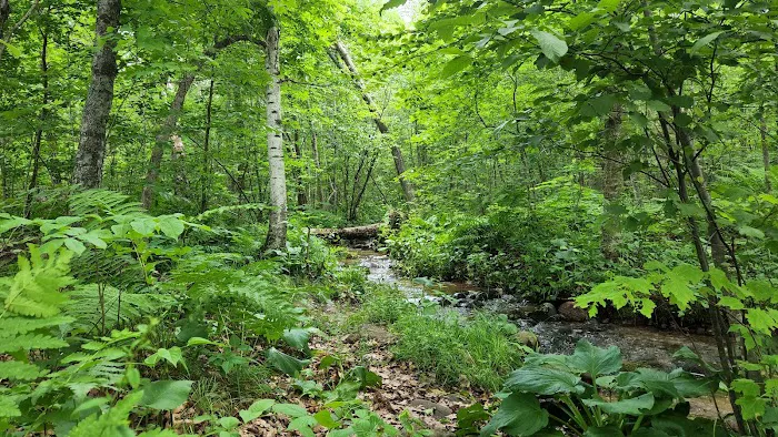 Fox Landing Picture 7