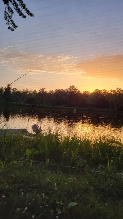 Fox Landing Picture 1