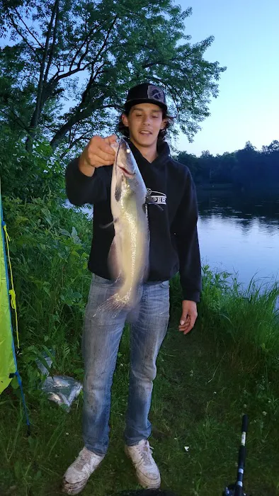 Fox Landing Picture 3