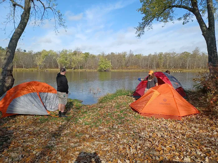 Fox Landing Picture 8