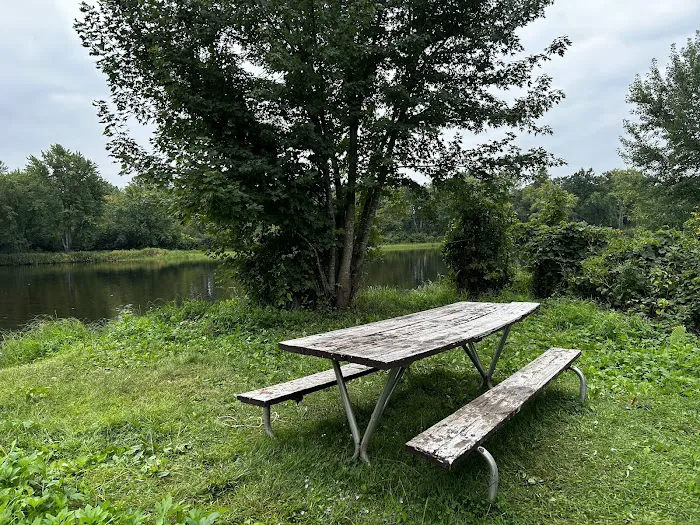 Bear Creek Campsite Picture 4