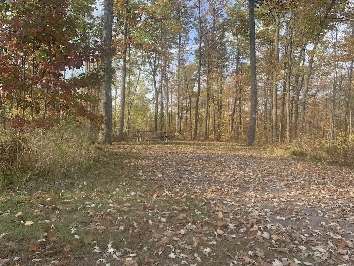 Boulder Campground Picture 7