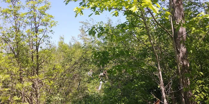 Tamarack Horse Campground Picture 3