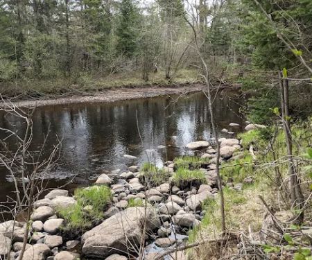 Tamarack Horse Campground
