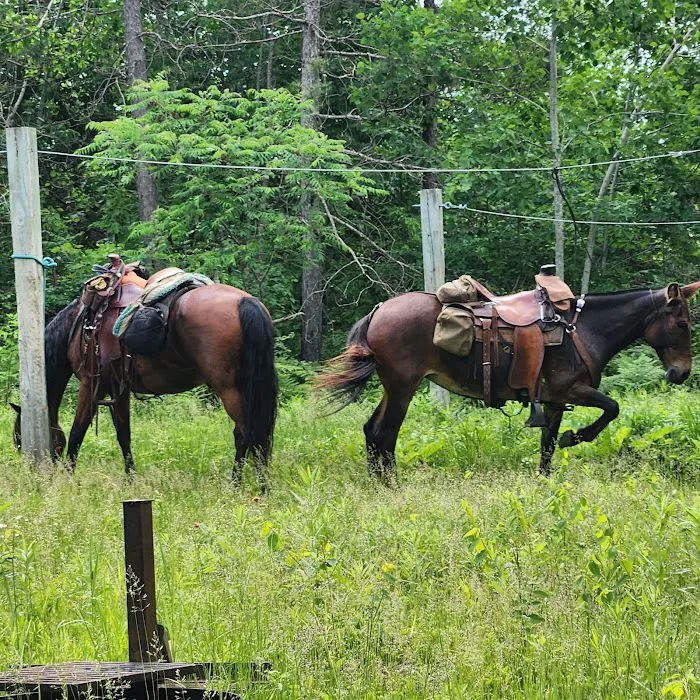 Tamarack Horse Campground Picture 5