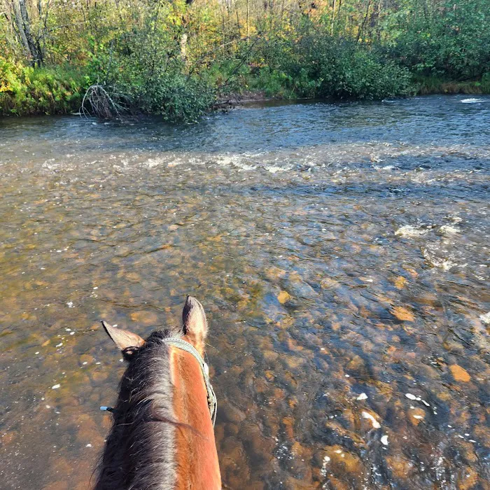 Tamarack Horse Campground Picture 4