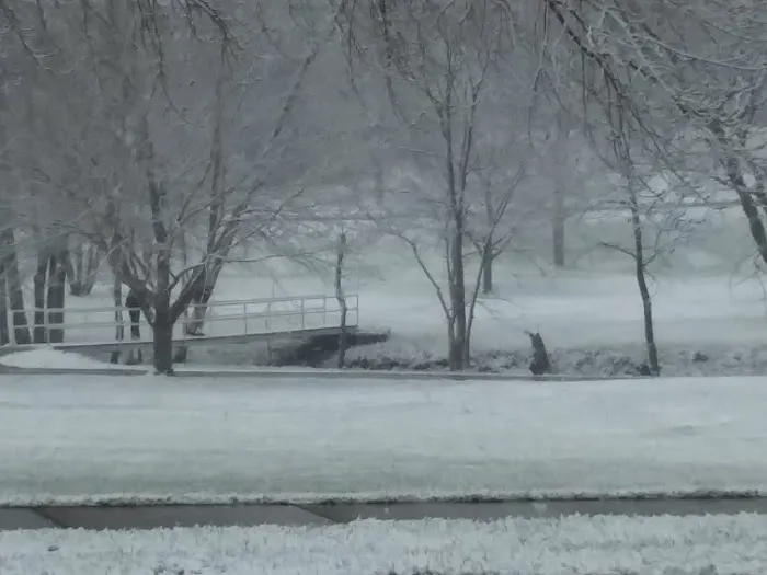 Sunnyside Park Campground Picture 6