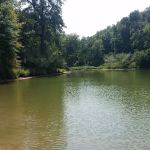 Timber Ridge Campground