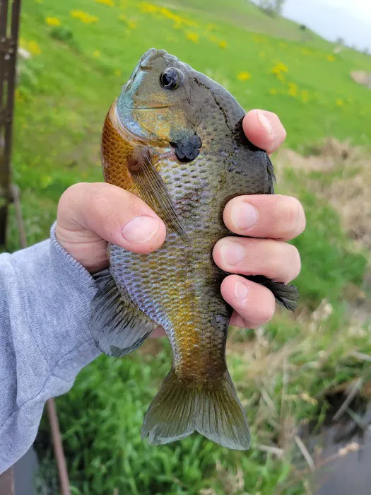 Fogle Lake Park Campground Picture 6