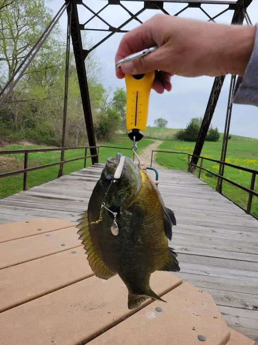 Fogle Lake Park Campground Picture 7