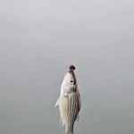 Lelah Bradley Park Campground