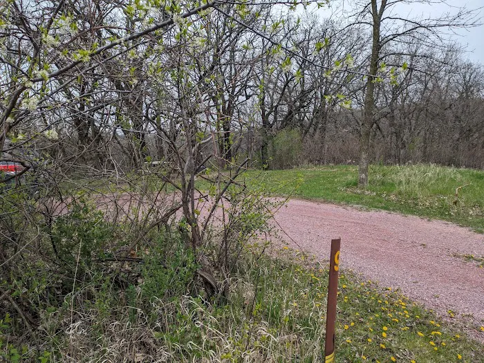 Kilen Woods Campground Picture 4