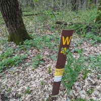 Kilen Woods Campground ico