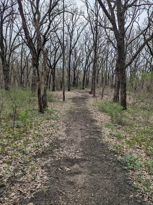 Kilen Woods Campground Picture 5