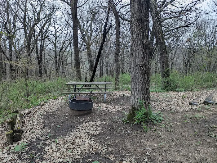 Kilen Woods Campground Picture 6