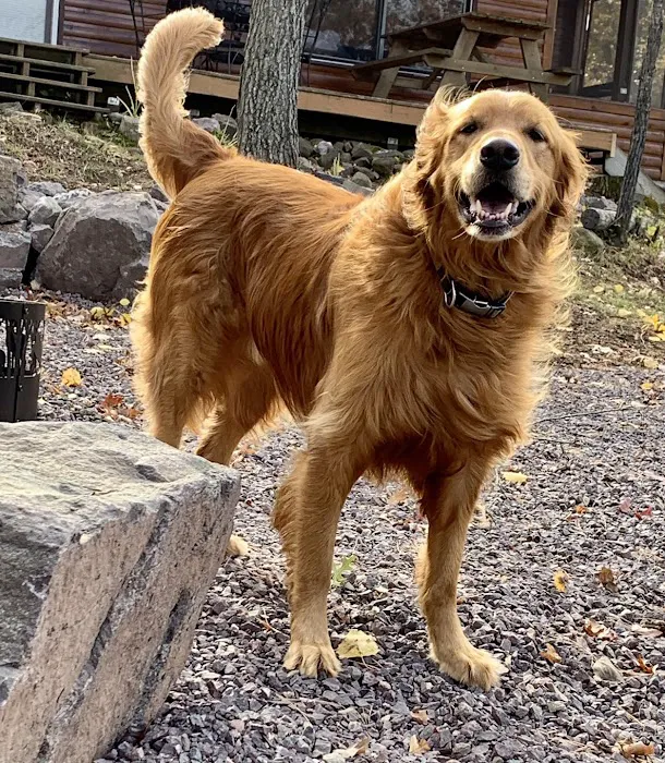 Cranberry Lake Resort & Campground Picture 8