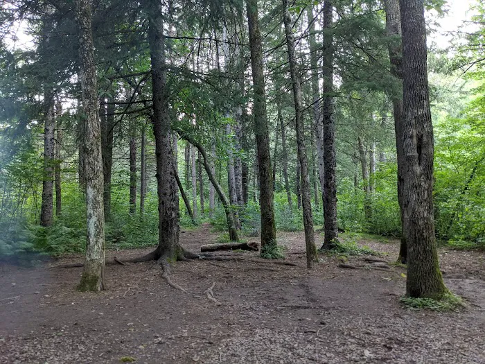 Bois Brule Campground Picture 1