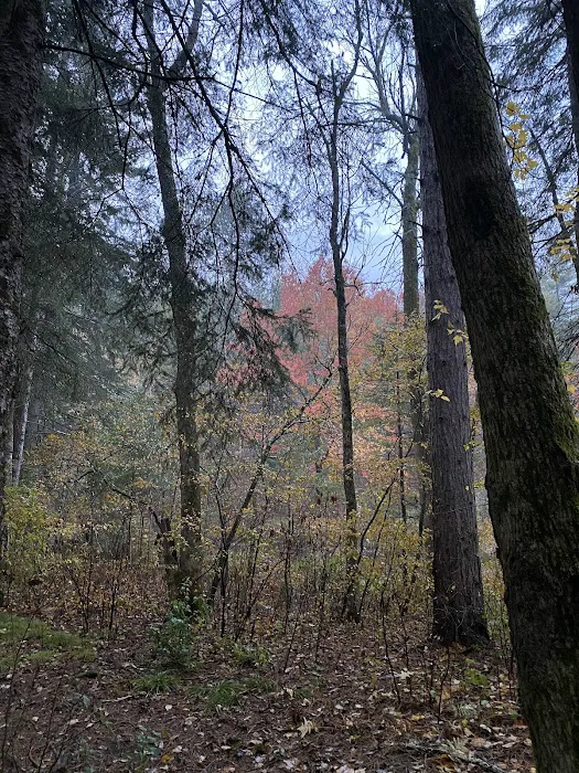 Bois Brule Campground Picture 9