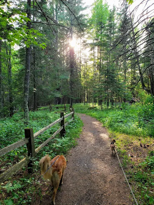 Copper Range Campground Picture 8
