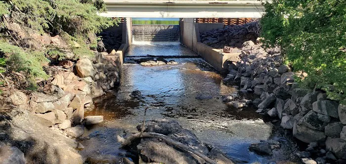 Pattison Park Campground Picture 1