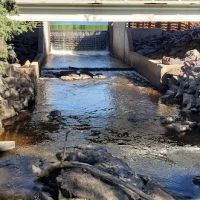 Pattison Park Campground ico