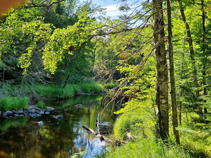 Pattison Park Campground Picture 9