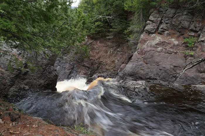 Pattison Park Campground Picture 4