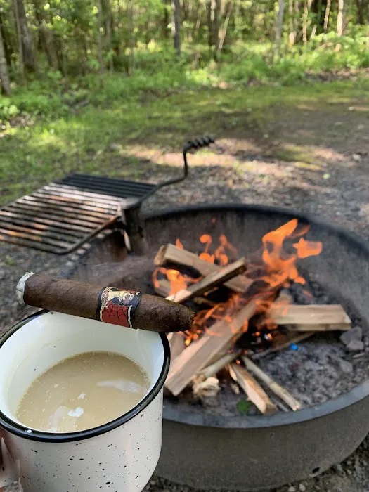 Pattison Park Campground Picture 3